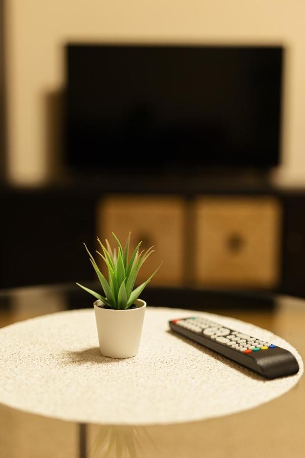 Chic Apartment In Historical City Center Timişoara Buitenkant foto