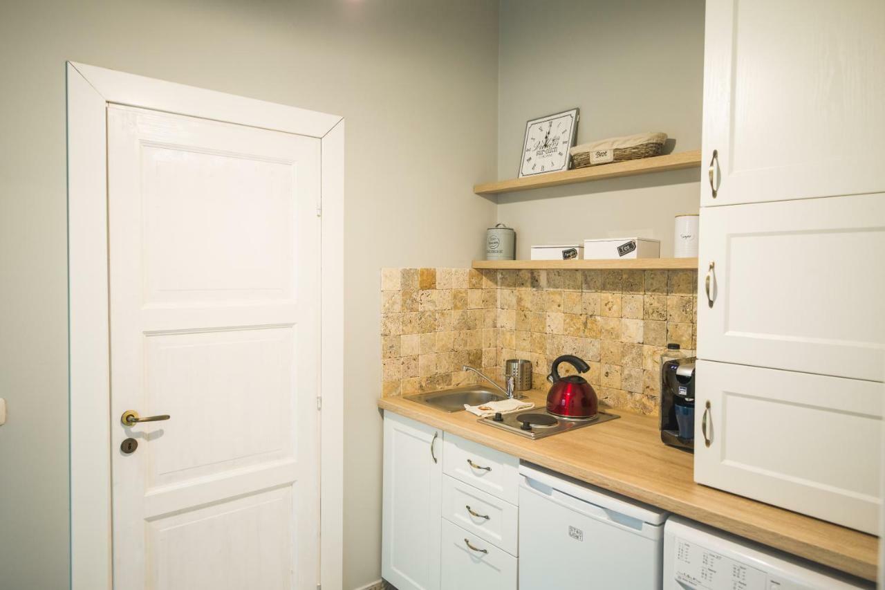 Chic Apartment In Historical City Center Timişoara Buitenkant foto